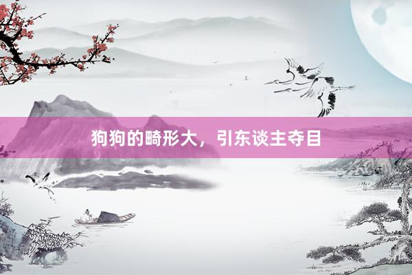 狗狗的畸形大，引东谈主夺目
